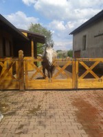 /album/jsoceanwind/a2014-04-20-15-51-44-jpg/